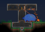 King Slime Outpost.png (43 KB) The "Stun-Lock" strategy.