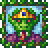 Lizard King (placed)