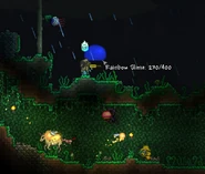 39e90358b52525f81606904c54184067.png (507 KB) A Rainbow Slime that wandered out of the Hallow