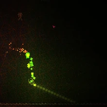 Clinger Terraria Wiki Fandom See locations, reviews, times, & insurance options and book your appointment today! clinger terraria wiki fandom