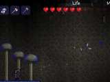 Enchanted Boomerang