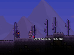 A shadow mummy dropped a blindfold and a megaphone at once. Thank you  Terraria! : r/Terraria