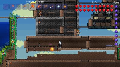 Discuss Everything About Terraria Wiki