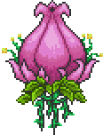 Plantera's First Form