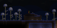 Mushroom Biome as it appears on the surface.