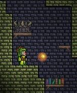 Apparently, Demon Altars can even spawn in the dungeon on wood platforms!
