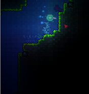 A Demon Altar in a Jungle Underground.