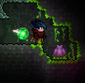 Destroy Plantera's Bulb to summon Plantera.