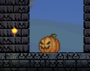 A Hoppin' Jack in clear day light.