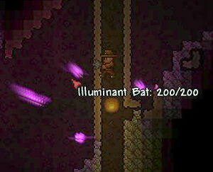 Illuminant bats by a Hellevator.