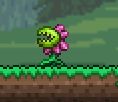 Plantera Seedling01.png