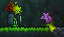 Bulbwhat