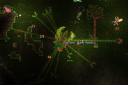 Image of Plantera taken from the 1.2 trailer.