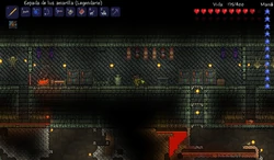 pared de la mazmorra