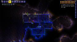 When Do Plantera Bulbs Spawn: Ultimate Guide to Timing & Tips