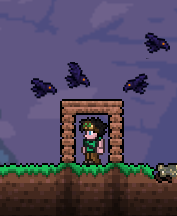 Exploration Guide, Terraria Wiki