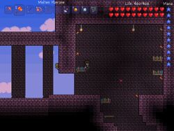 Chests, Terraria Wiki