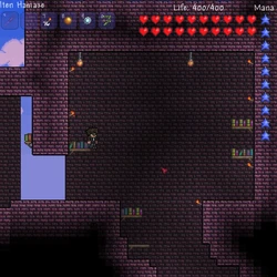 category dungeon terraria wiki fandom