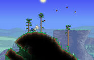 bunny cannon in action.