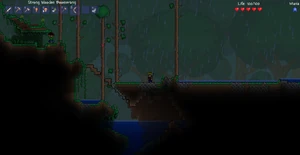 Rain in Terraria