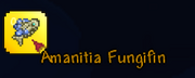 Amber Amanitia Fungifin.png