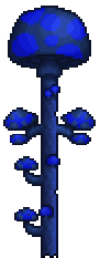 Baum-Pilz.png