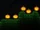 Jack 'O Lantern