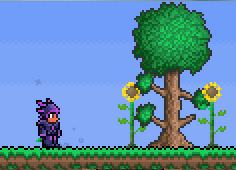How to make trees grow faster in terraria