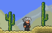 Desierto distorsión.gif