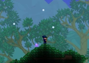 Throwing Snowballs