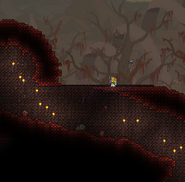 Bugged crimson.png (284 KB) A bugged crimson cavern entrance.