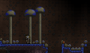 A player standing beside Giant Glowing Mushrooms