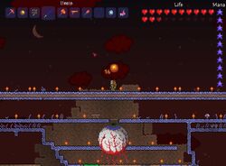 Shield of Cthulhu - Terraria Wiki