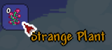 Ambartier.png