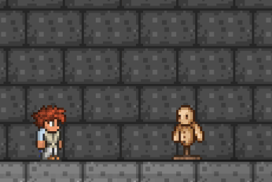 gif araignée qui roule