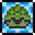 Pet Turtle