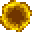 Coin Portal.gif