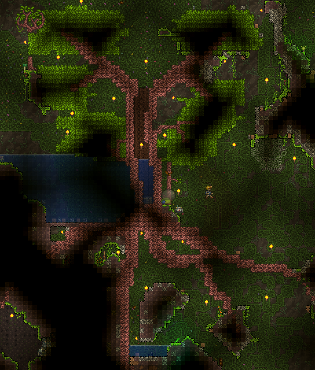 Living wood terraria фото 31