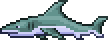 Shark.png