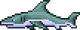 Shark.png