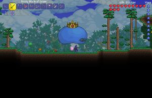 Slime Rain The Official Terraria Wiki I will show you how to find the rarest slime in terraria. slime rain the official terraria wiki
