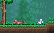 Bunny and Squirrel in a Forest