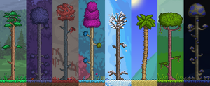 Biome Trees