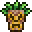 Tiki Spirit