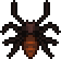 Black Recluse