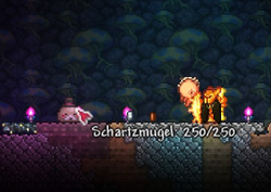 What do old shaking chests do in Terraria?