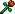 Flower of Fire