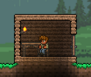 Valid House Door