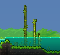 Terraria guide - Planting seeds and growing plants 