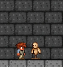 Le gladius en action.